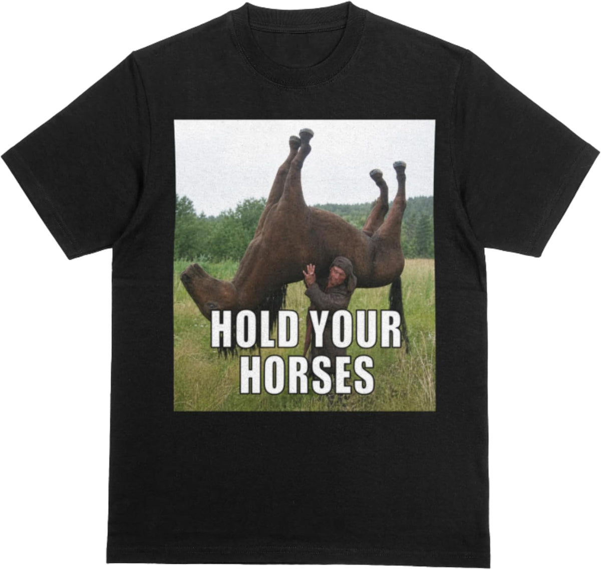 Hold Your Horses Funny Meme T-Shirt, Brainrot Gift, Unhinged Adult Humor, Viral Meme Shirt, Cringe Gen Z Style